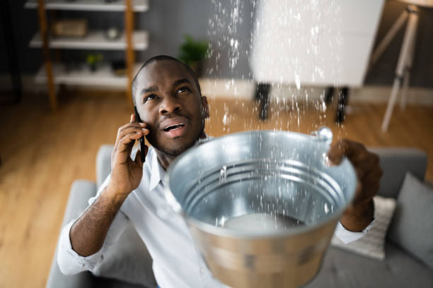 Best Water damage restoration near me  in Princeton, TX