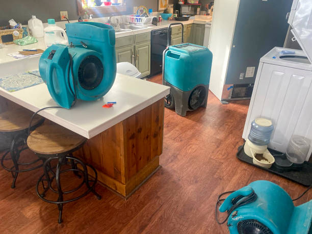 Best Flooded house restoration  in Princeton, TX