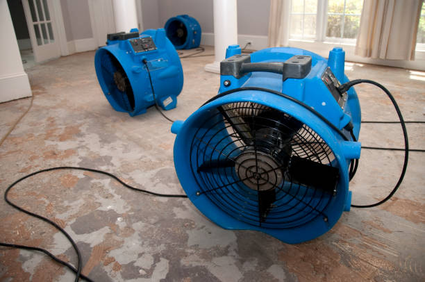 Best Flood restoration services  in Princeton, TX