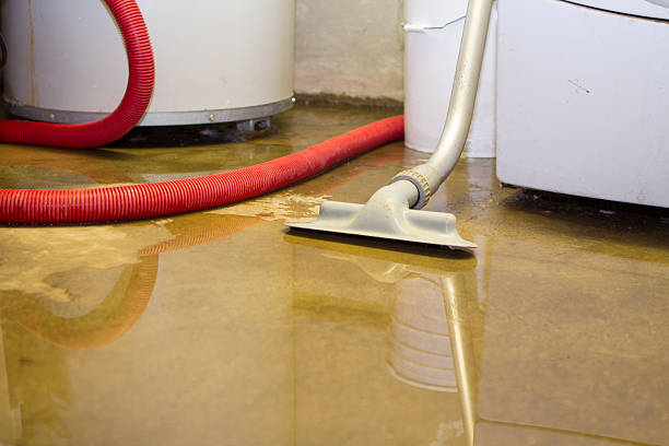 Best Commercial water damage restoration  in Princeton, TX