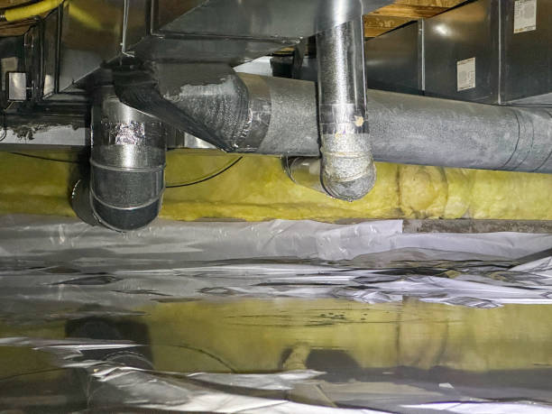 Best Water damage repair service  in Princeton, TX