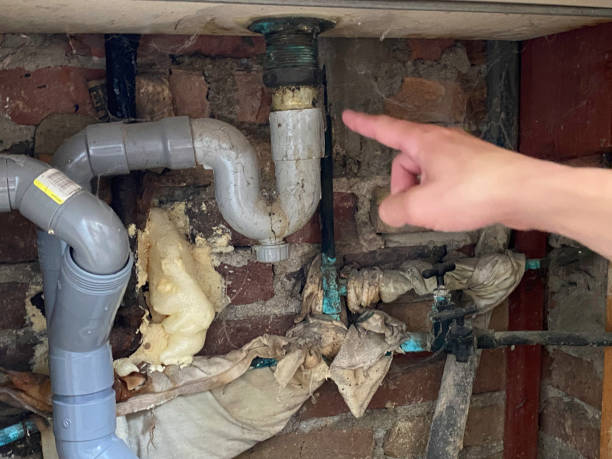 Best 24/7 water damage repair  in Princeton, TX