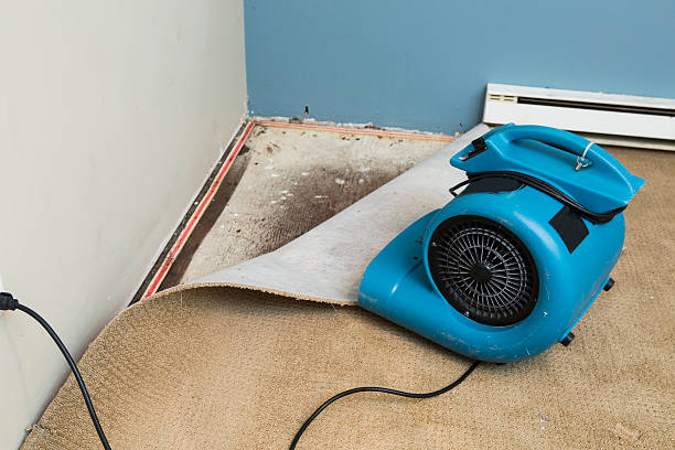  Princeton, TX Water damage restoration Pros